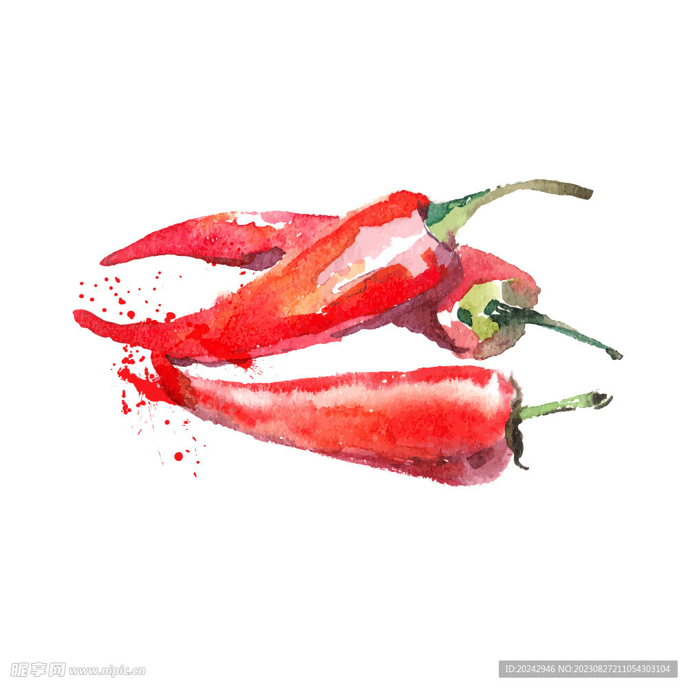 手绘蔬菜 