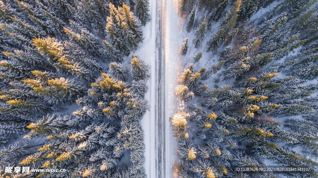 冬天雪景