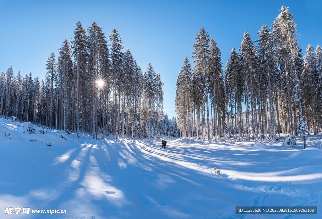 冬天雪景