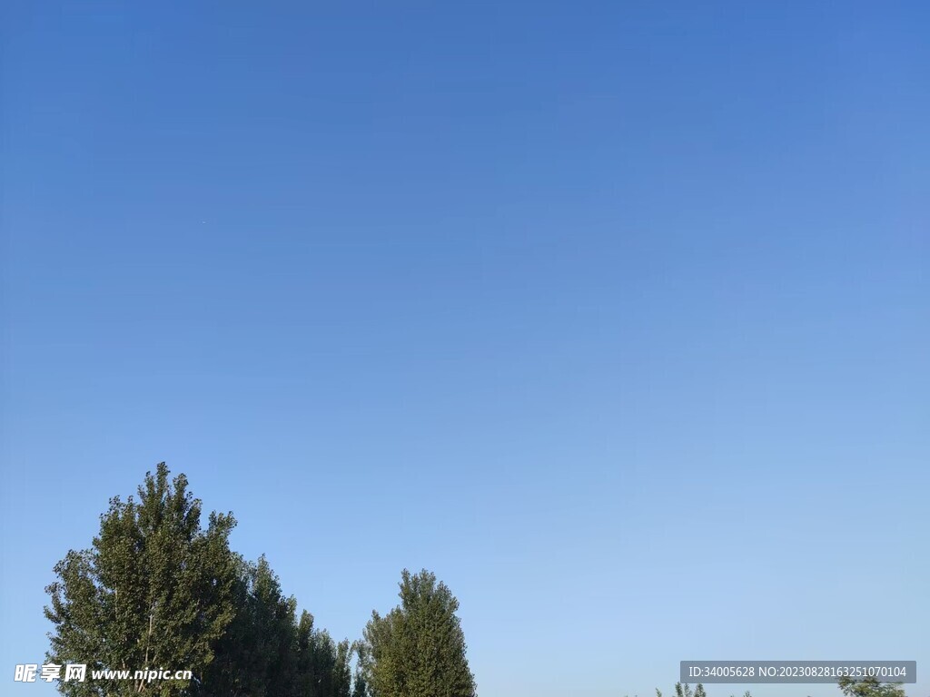 午后晴空小树