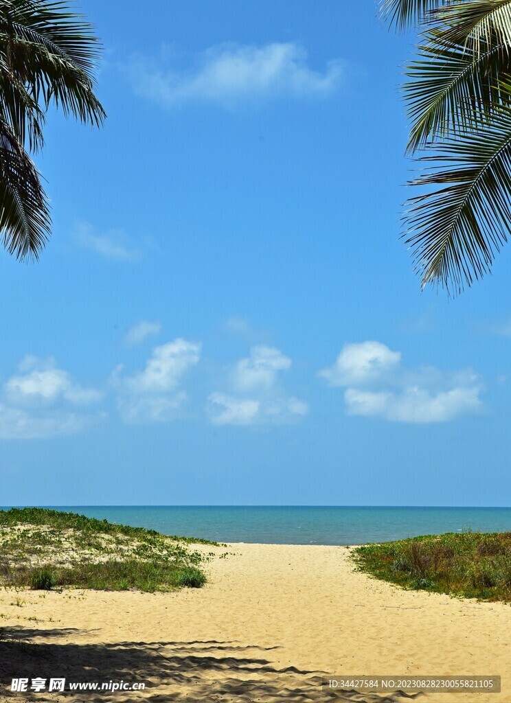 沙滩海景