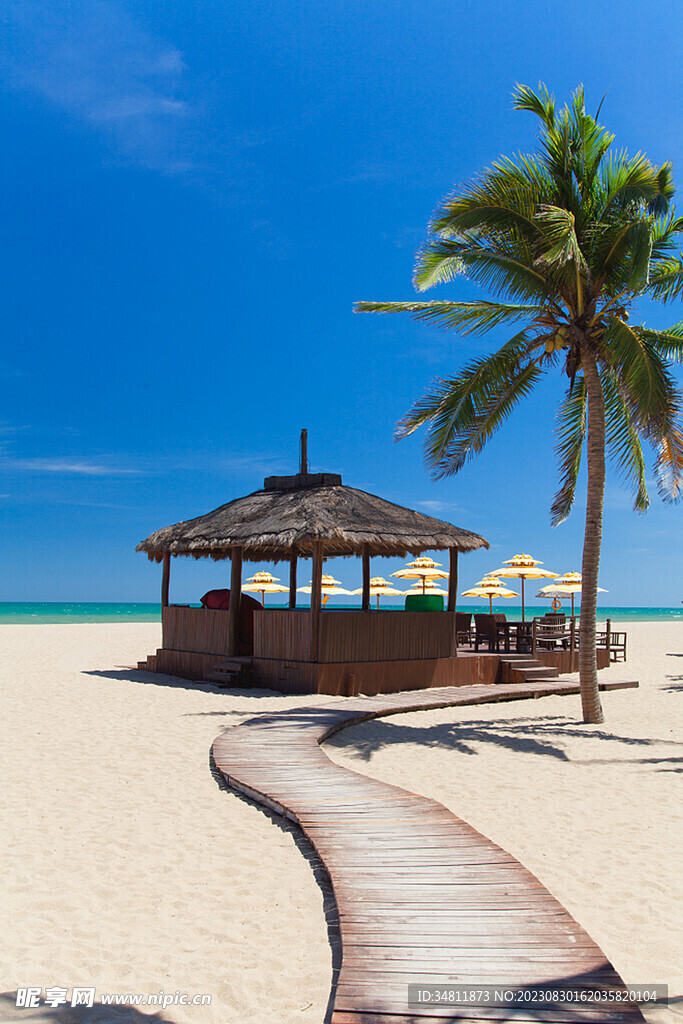 海边  沙滩 椰树