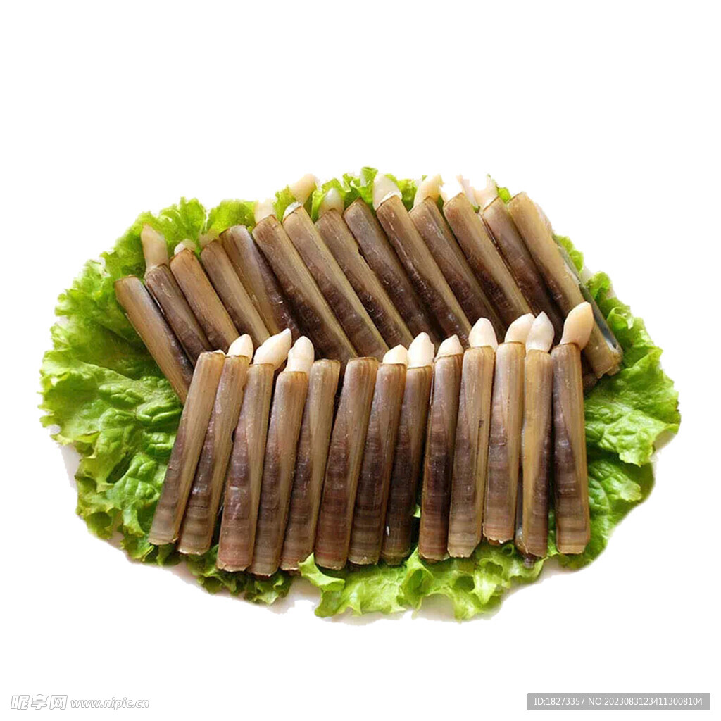 蛏子