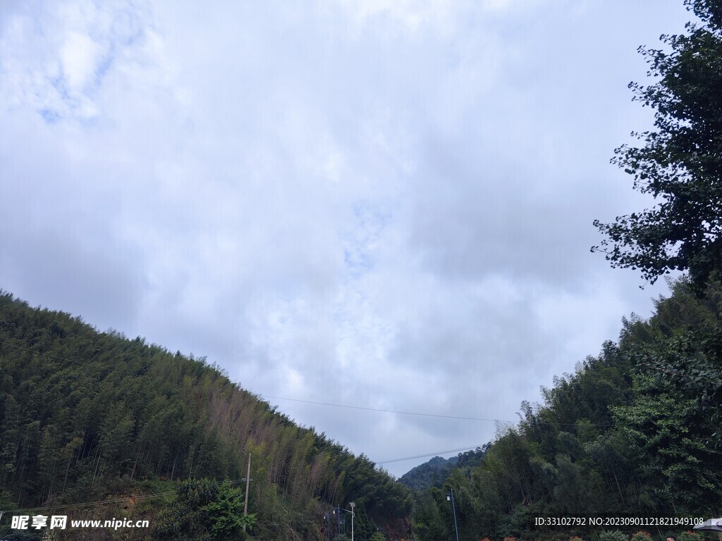 蓝天白云树林