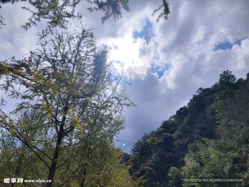 兰亭白云树林