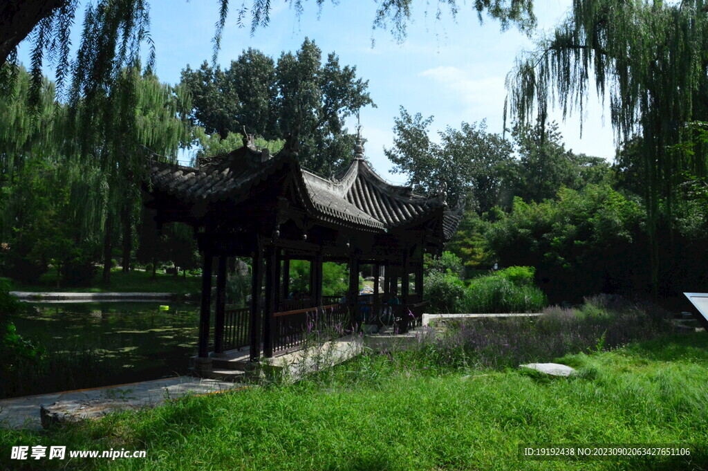 公园风景 