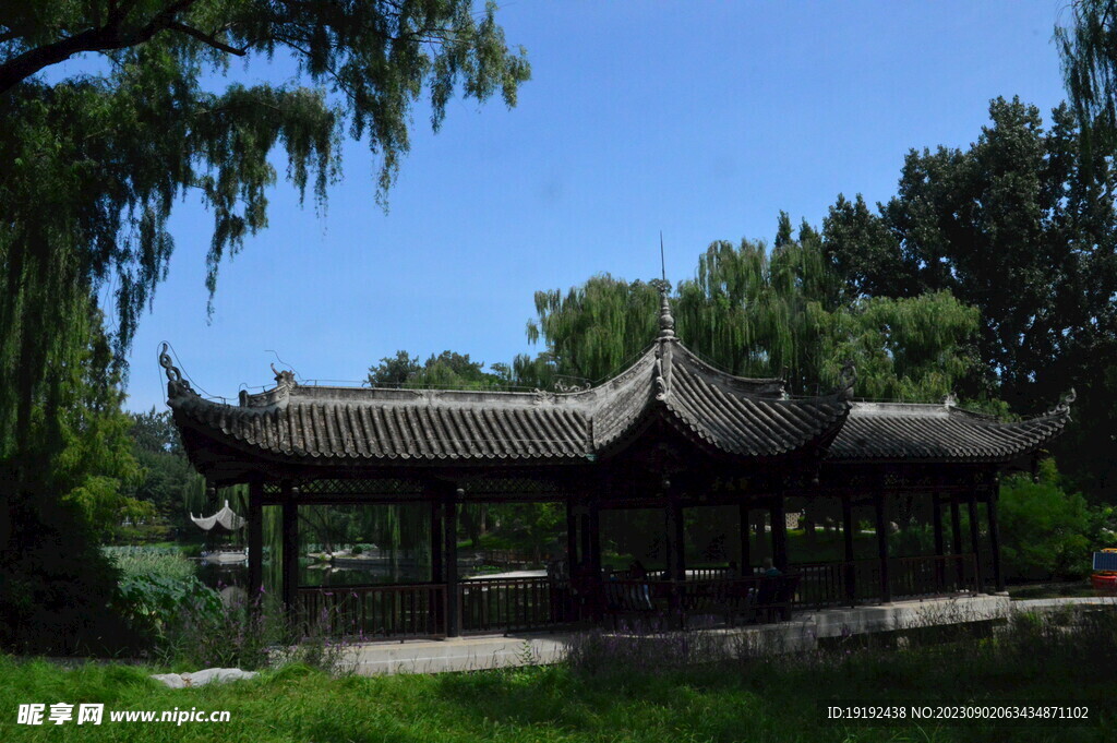 公园风景 