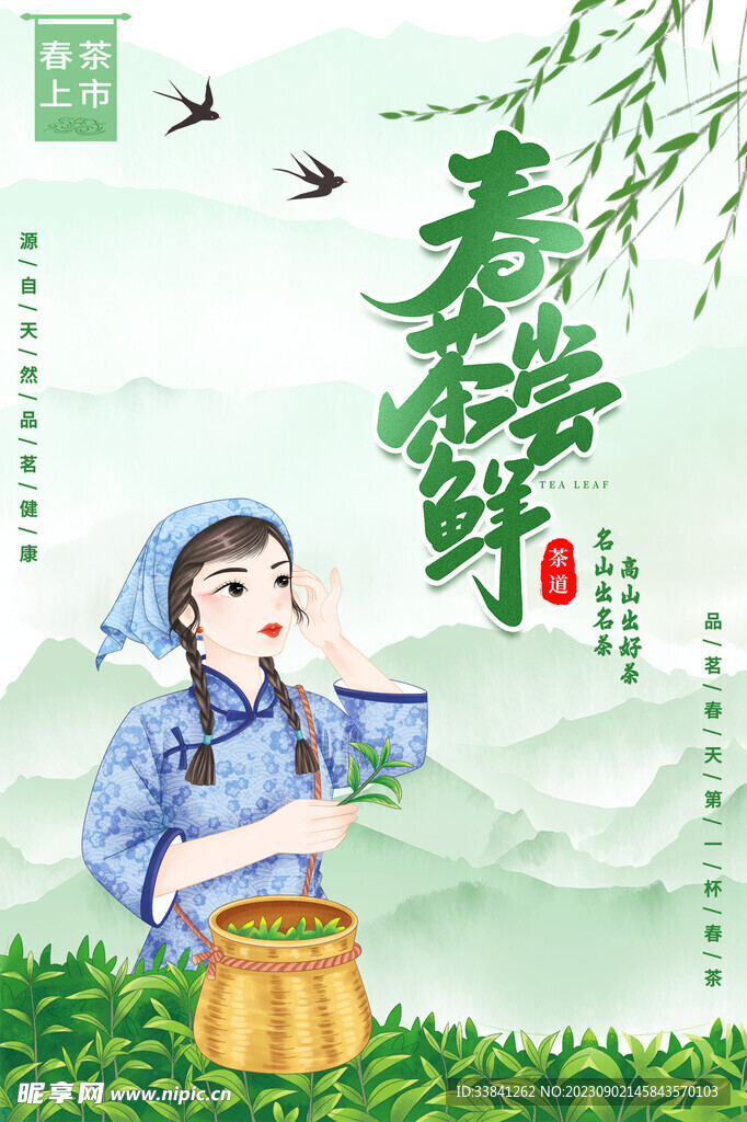 春茶上市采茶插画人物