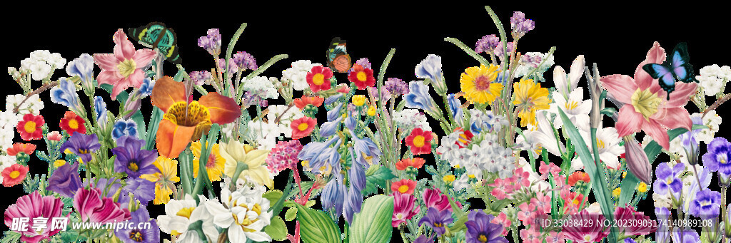 定位花