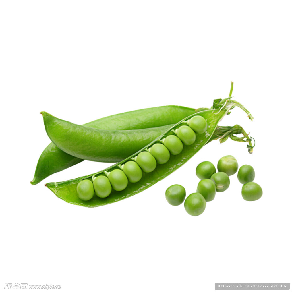 豌豆