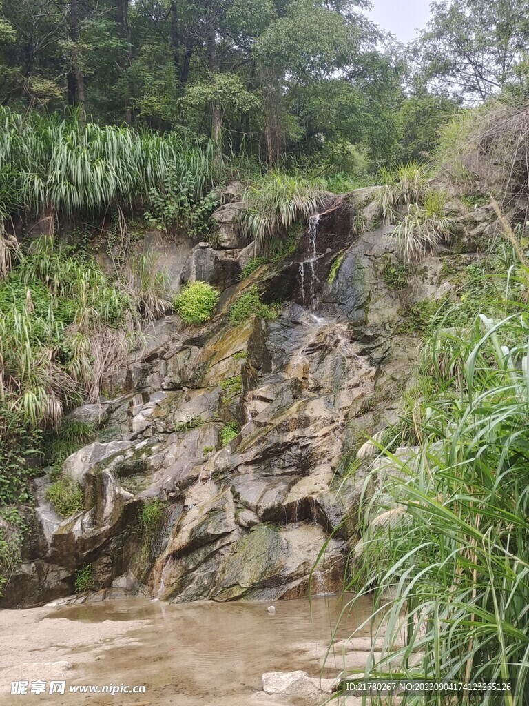 山上溪流