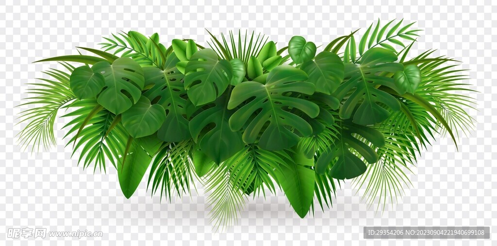 绿植图片