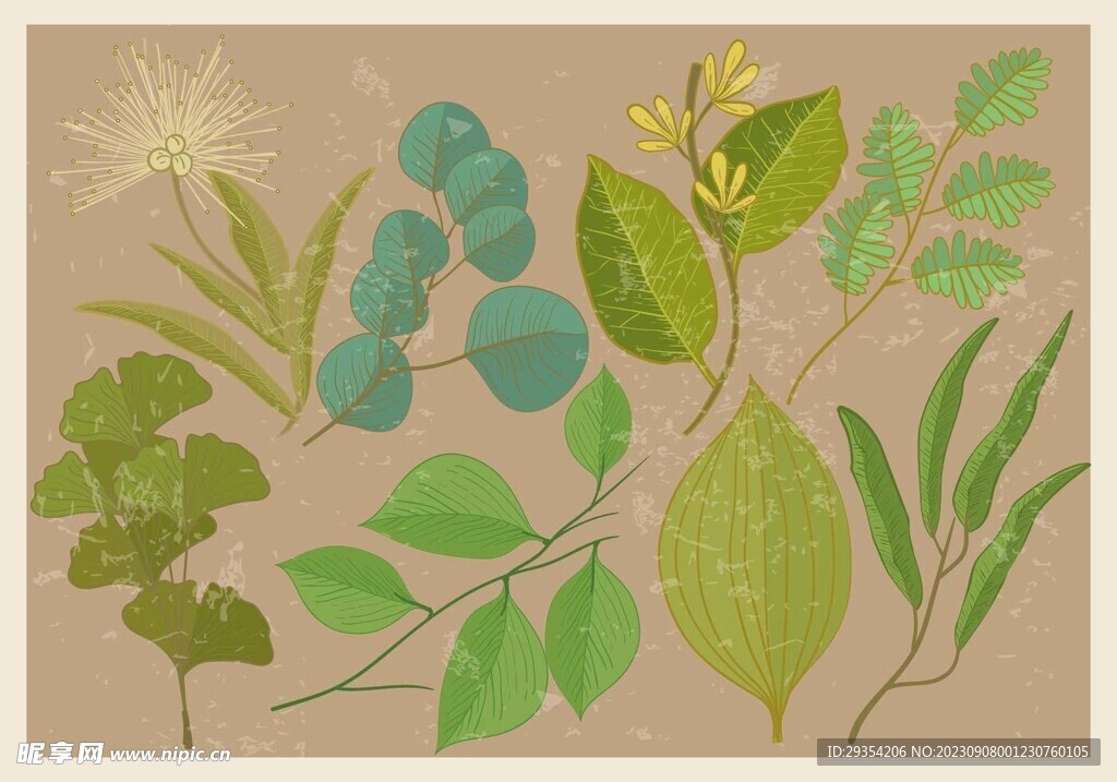 植物矢量图图片