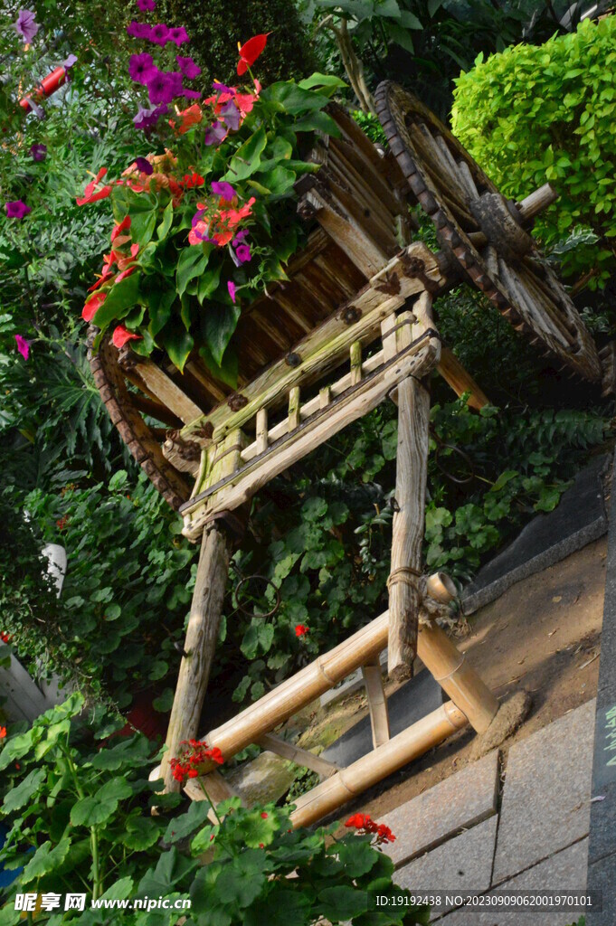 温室花草风景 