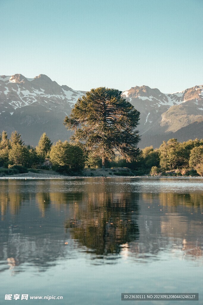 户外风景
