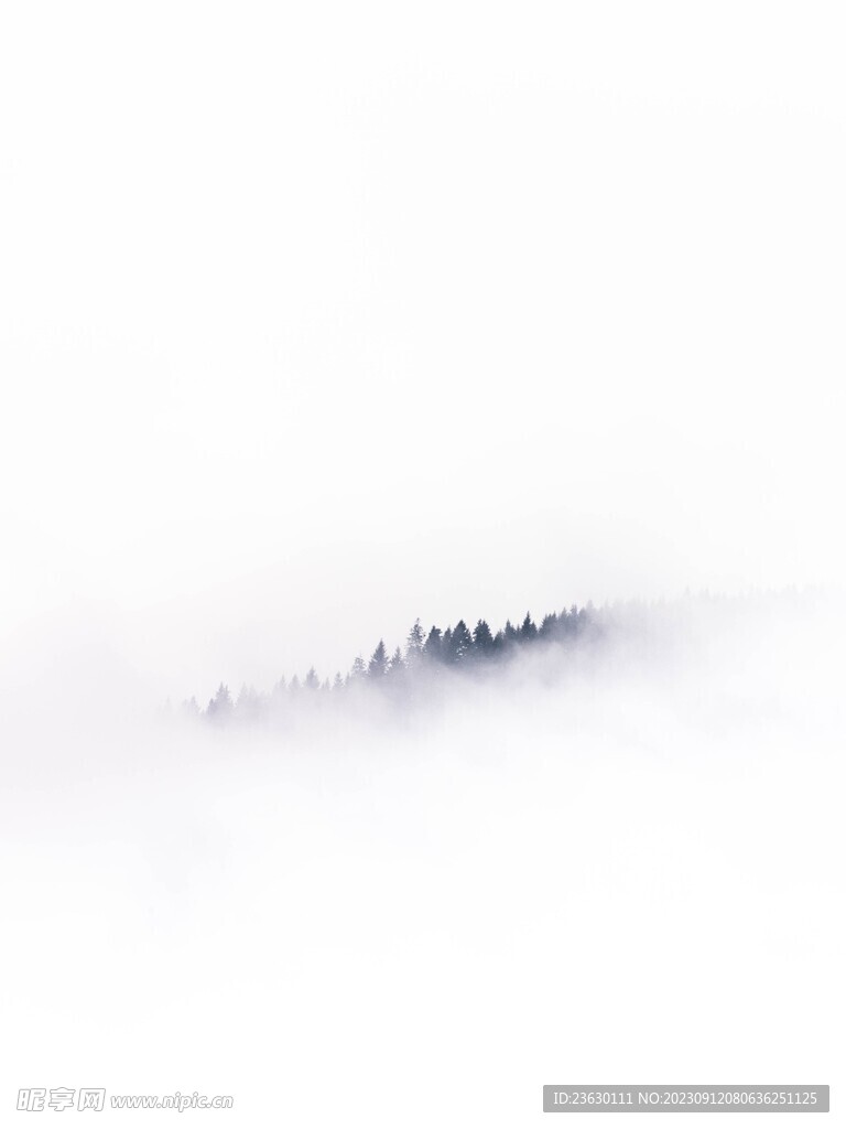 雾里森林