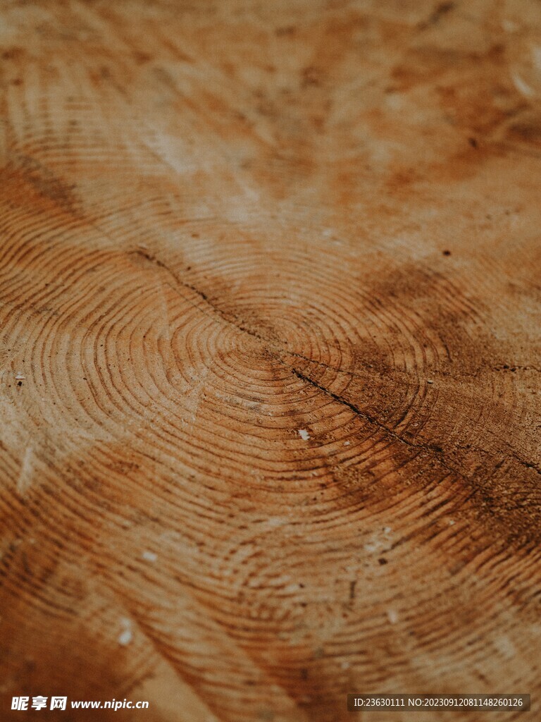 木头