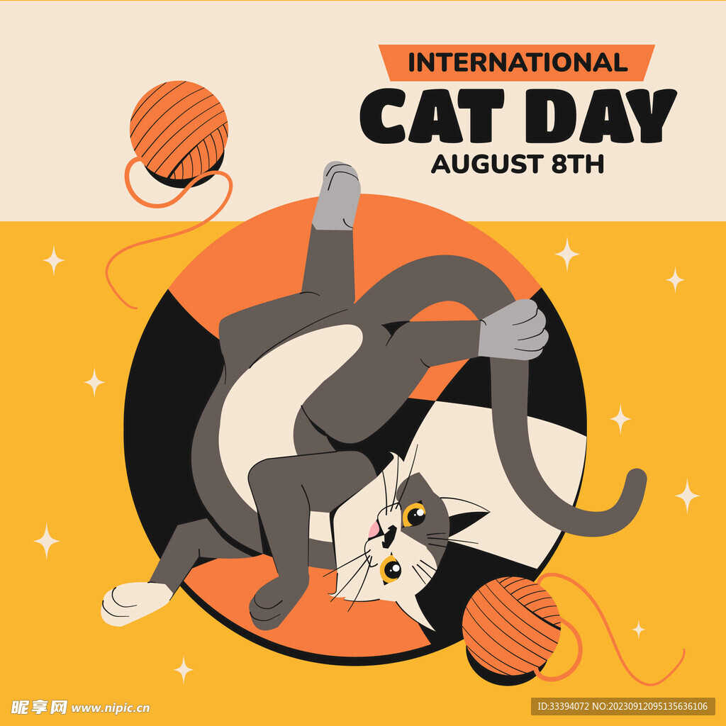 猫在地毯上玩耍