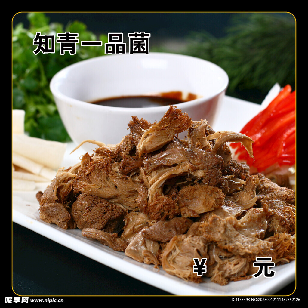 知青一品菌