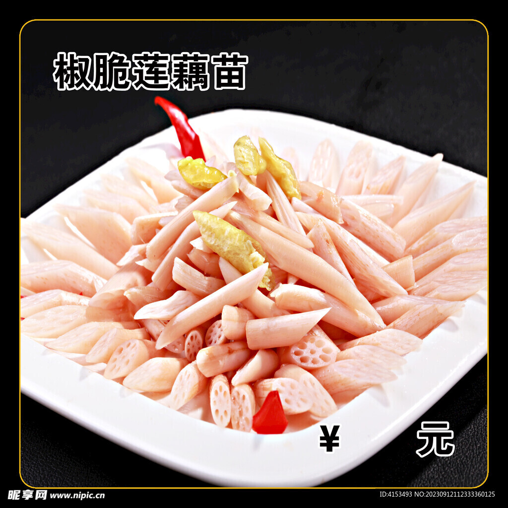 椒脆莲藕苗