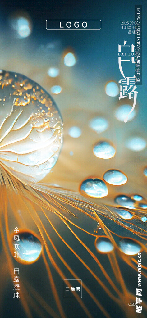 白露海报