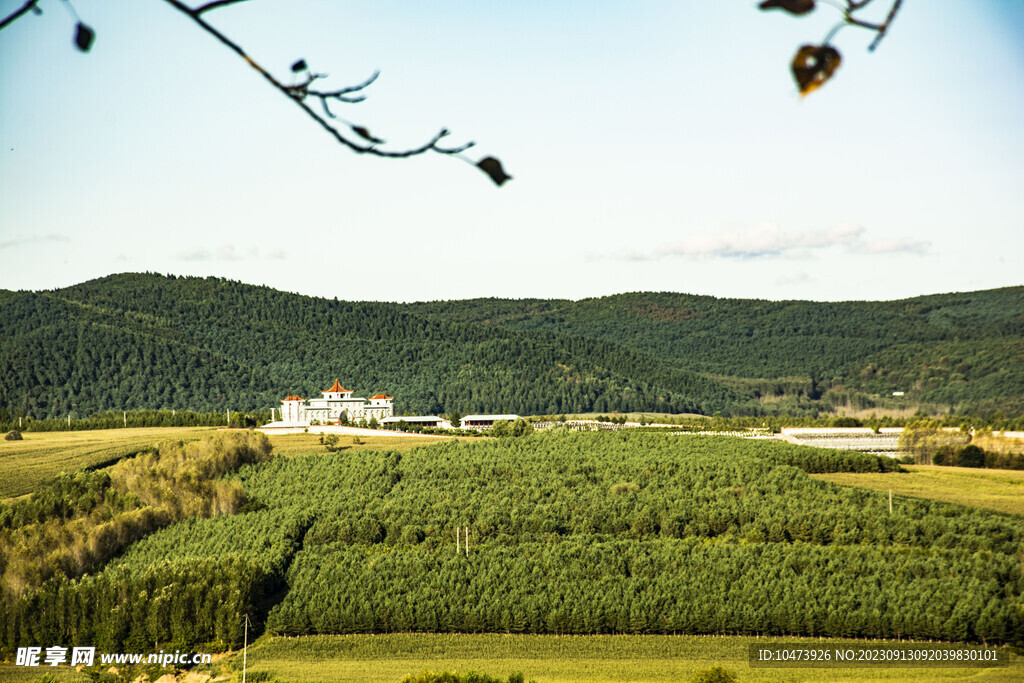 远眺田园密林中的陵园