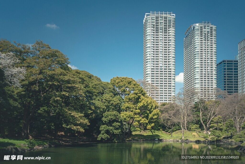城市绿化