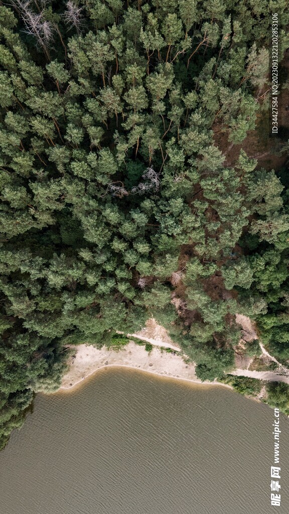 航拍湖边树林