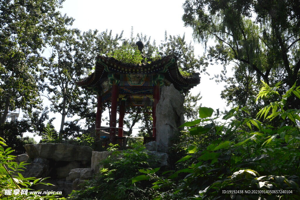 公园风景