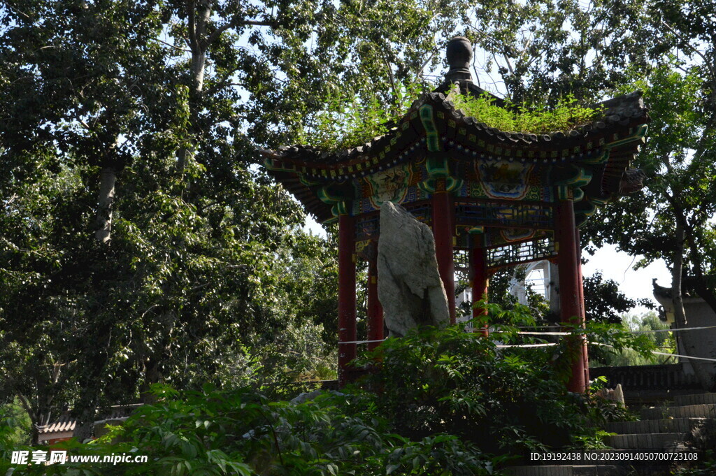 公园风景 
