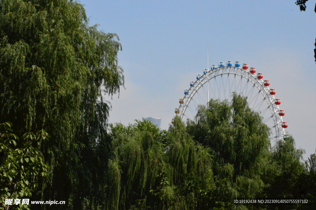 公园风景 