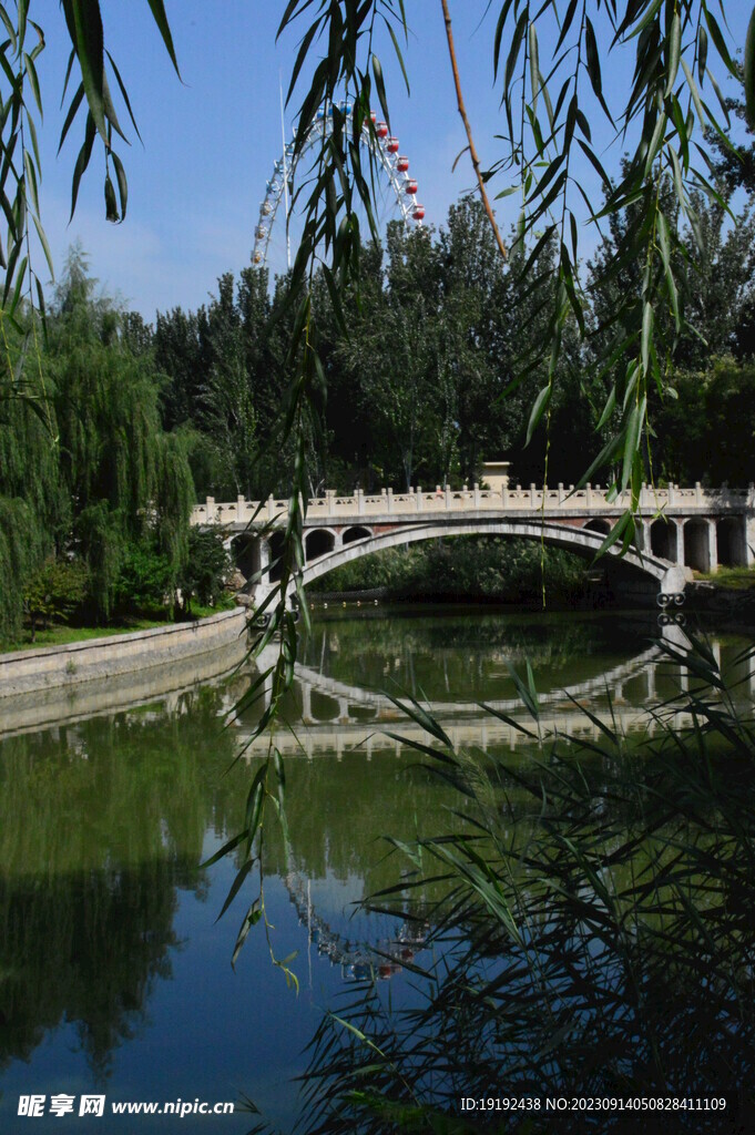 公园风景