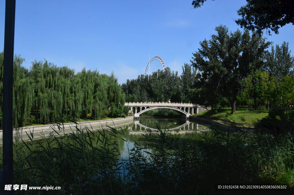 公园风景