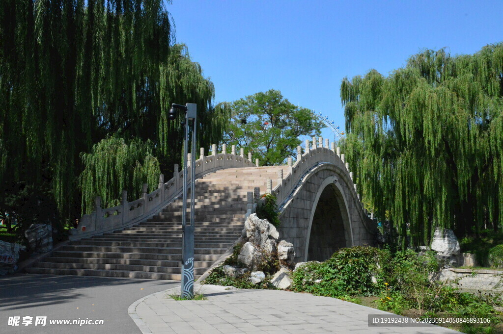 公园风景 