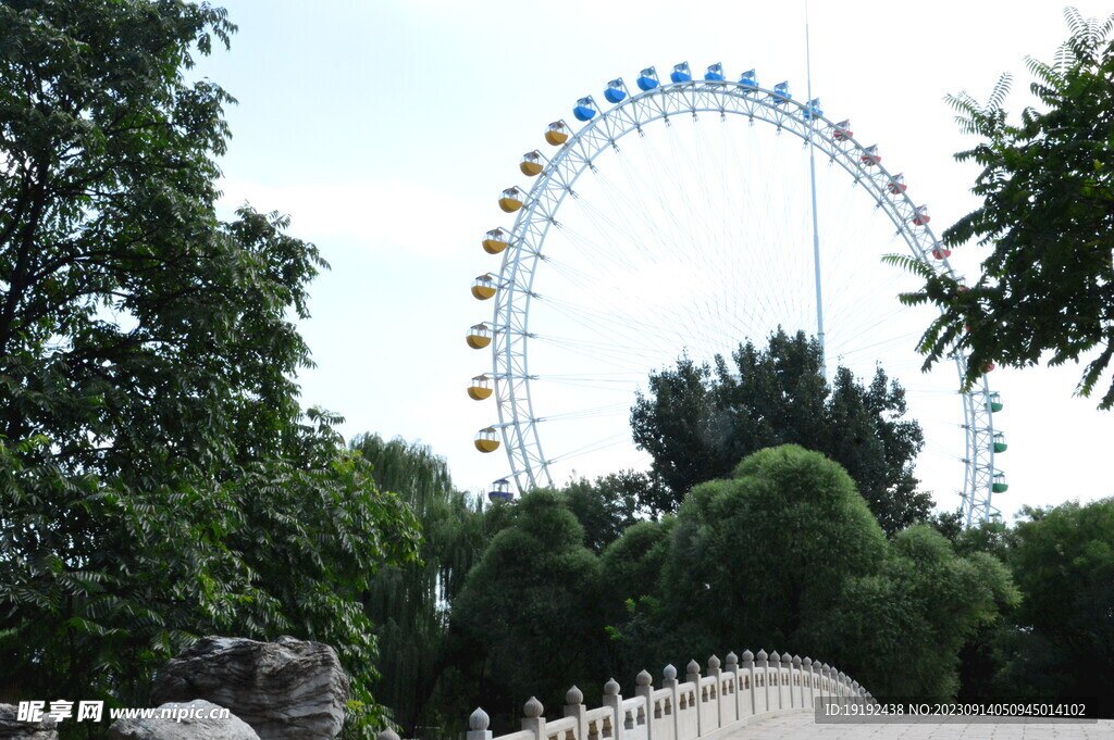 公园风景 