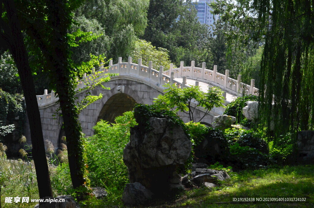 公园风景