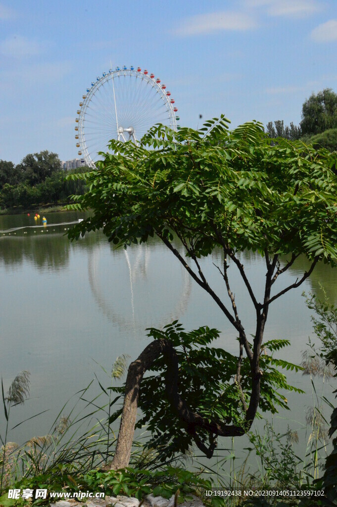 公园风景 