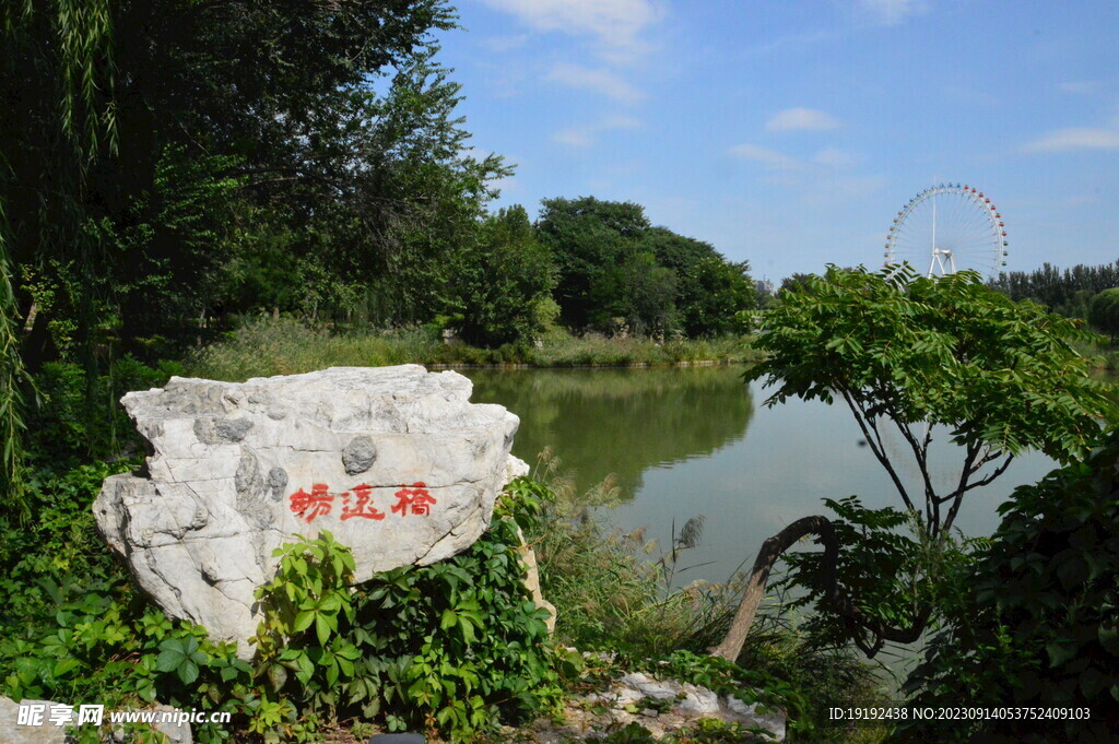 公园风景