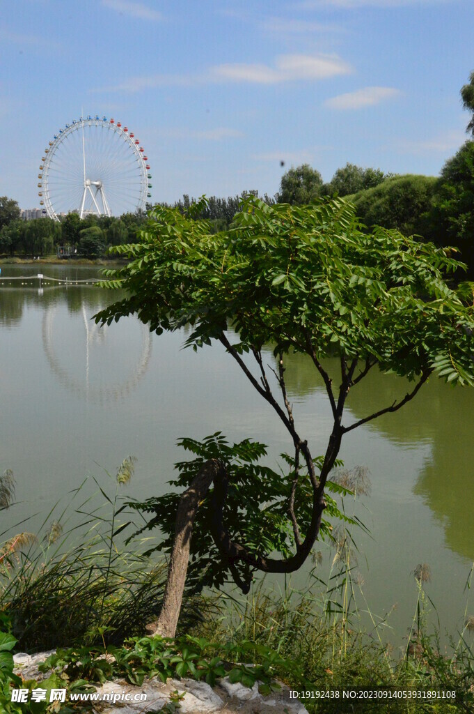 公园风景 