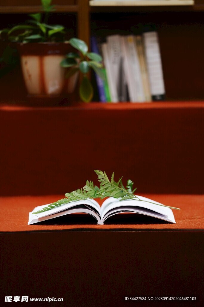桌上的书本和绿叶