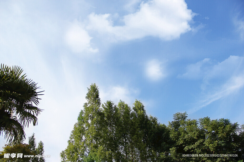 天空