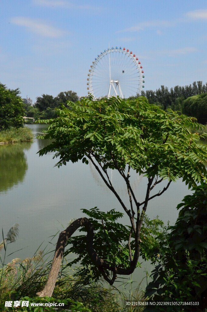 公园风景 