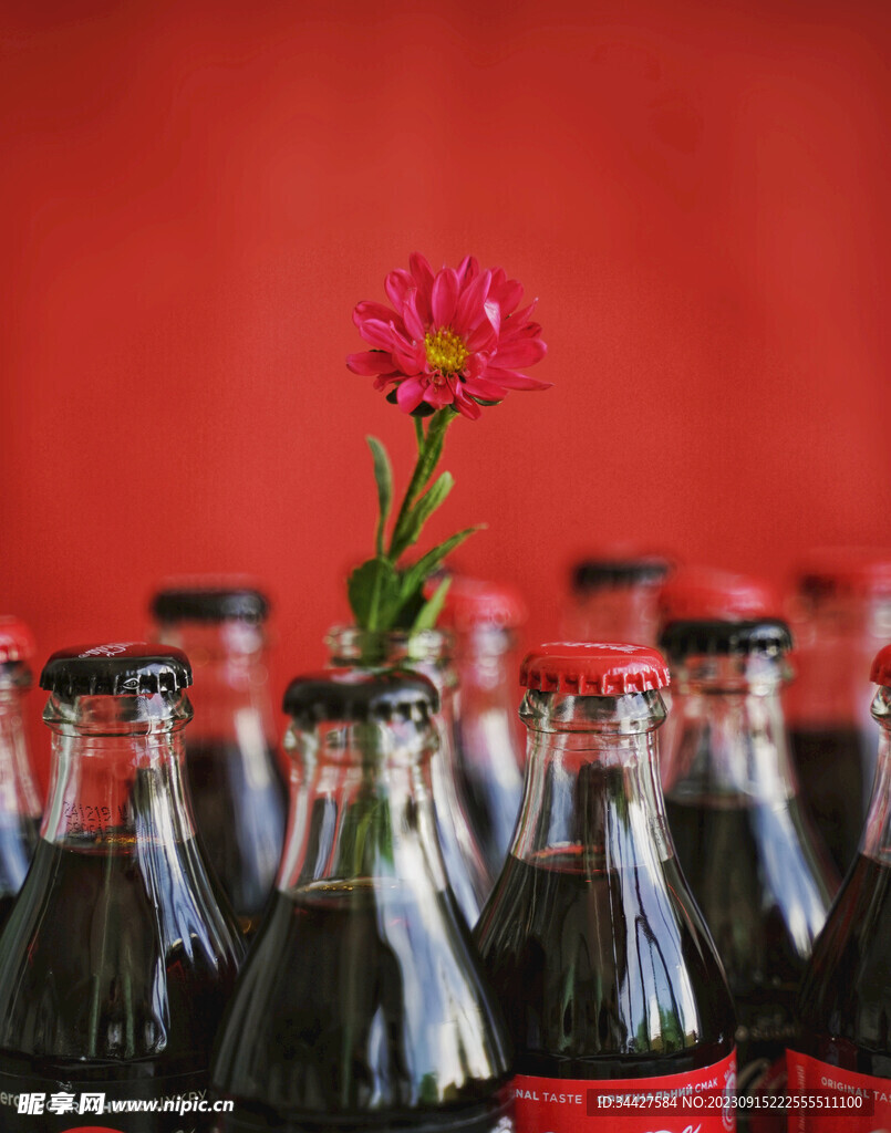 菊花和可乐饮料