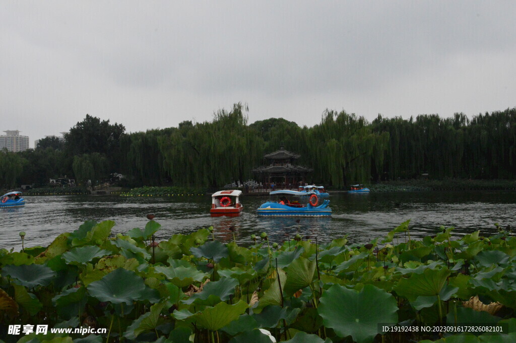 公园风景
