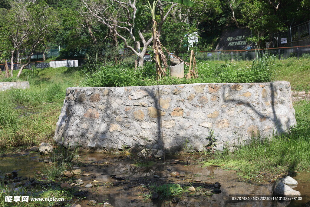 坪山湿地公园
