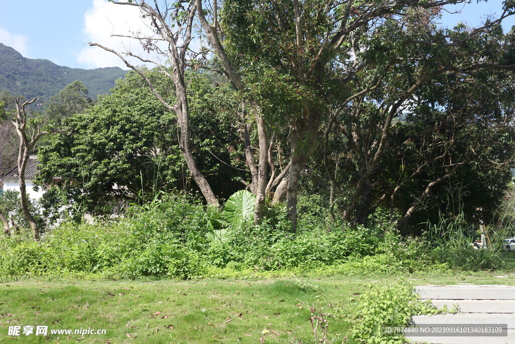 坪山湿地公园