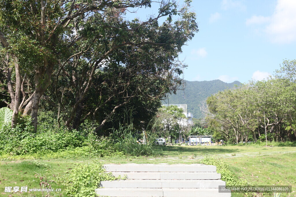 坪山湿地公园