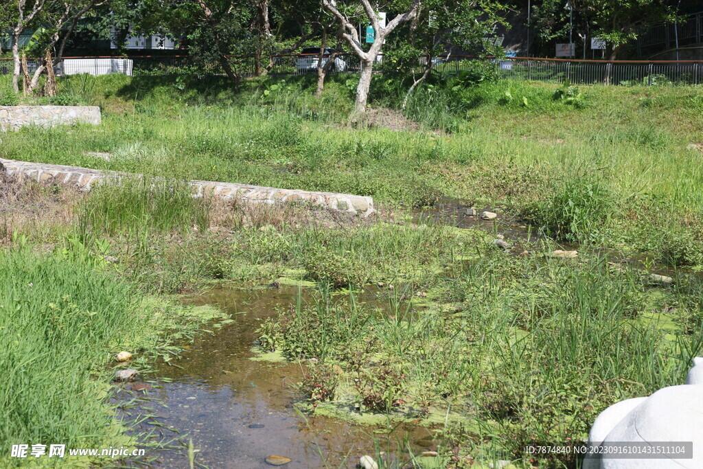 坪山湿地公园