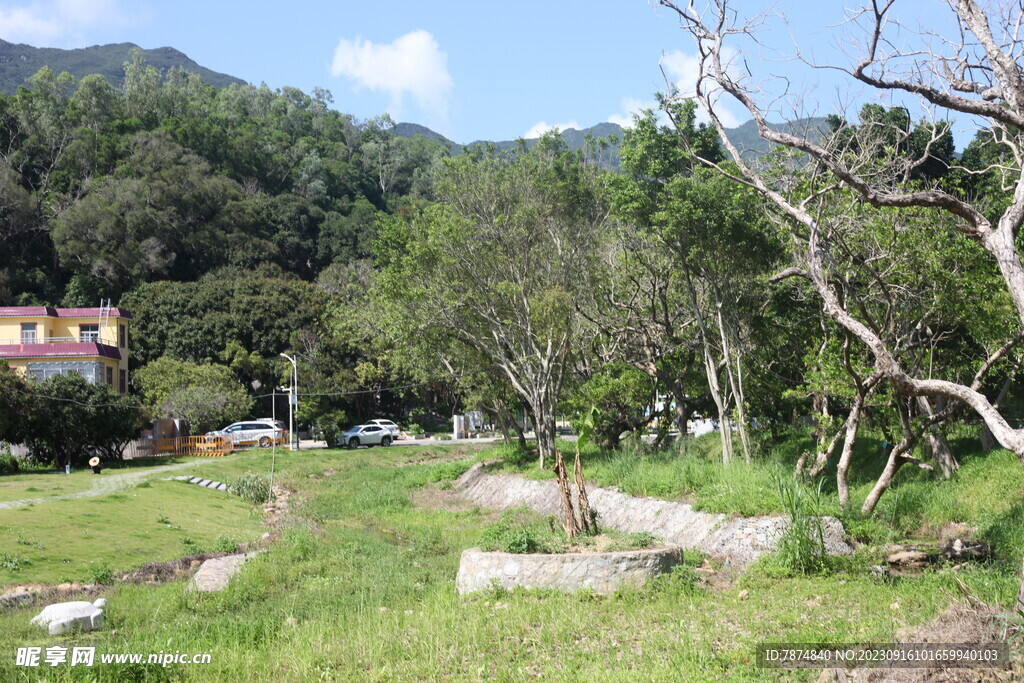 坪山湿地公园