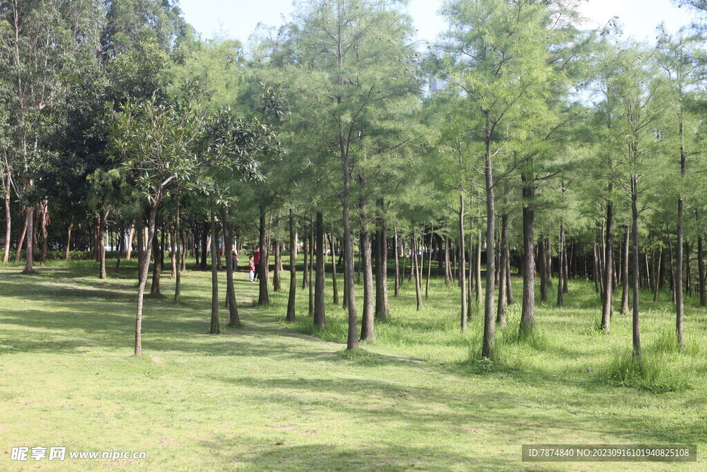 坪山湿地公园